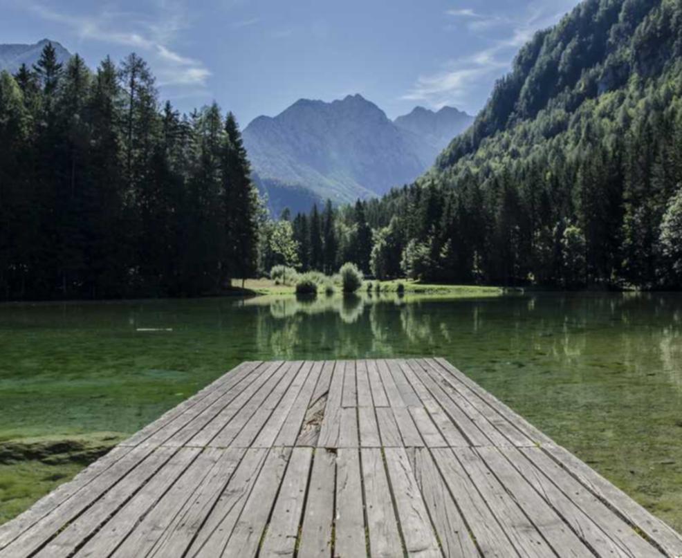 三网卡实名账号:东莞代理公司注册流程