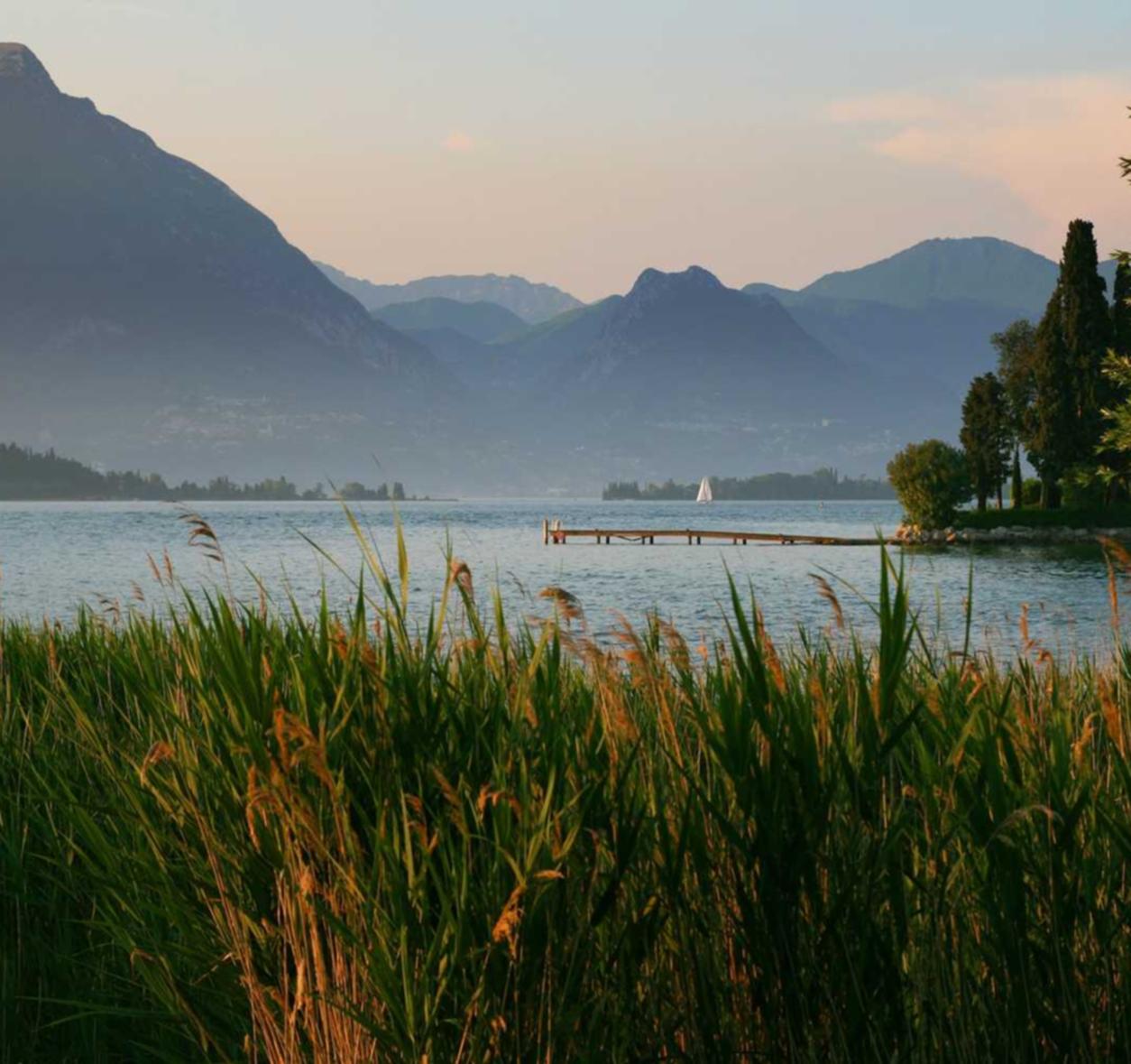 侧推类人猿爆珠:15岁怎么注册钉钉账号